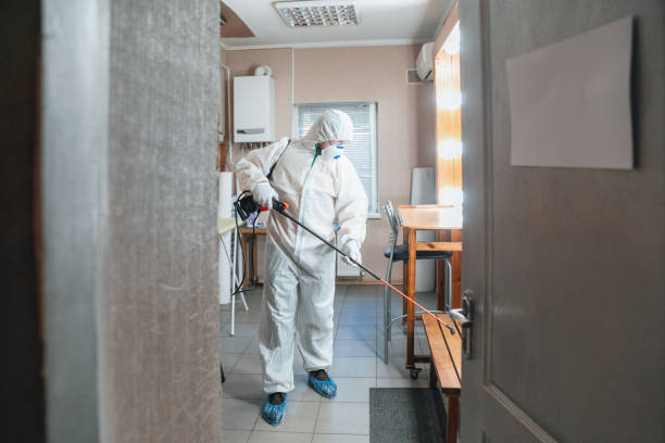 Why You Should Choose Our Mold Remediation Services in Jefferson, WI